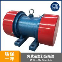 YZS-15 -2 vibration motor power 1 1 KW excitation force 15KN cabin wall vibration beating motor shaker