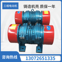 Vibration motor YZS-100-6 7 5KW three-phase 380V vibration motor adjustable vibration vibration shaker motor