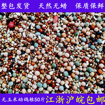 Grain Liangde Easy without corn young pigeon feed nutrition Birds Geon Racing Pigeon Racing Pigeon Food Grain 50 Grain Food
