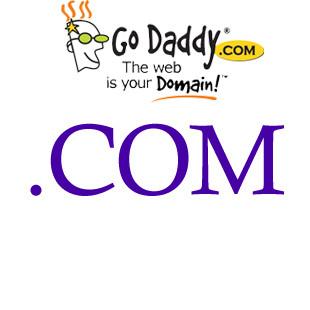 godaddy.com sign up com renewal 60 org 60 net 69 renewal 60 bulk contact store