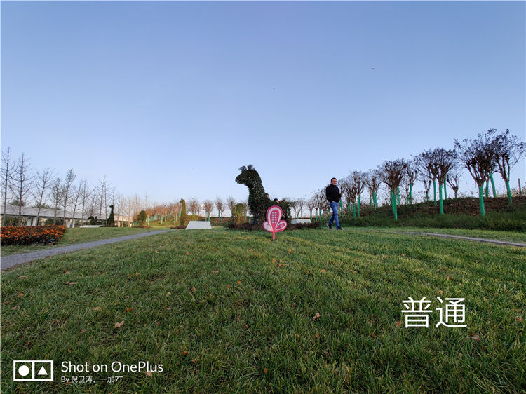 特立独行娱乐手机 ,一加7T游戏机体验225