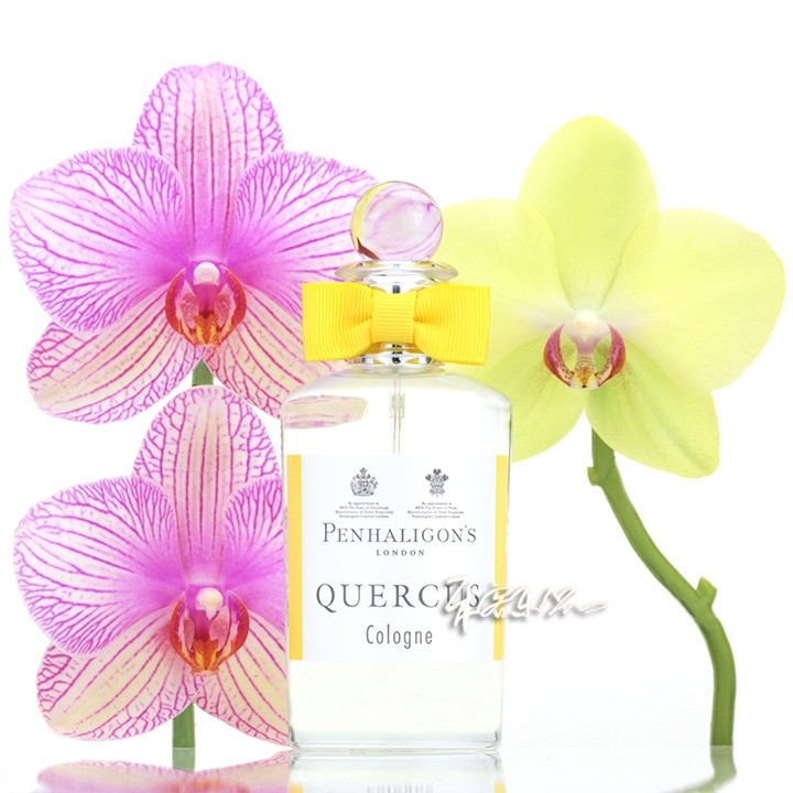 penhaligons潘海利根 皇家橡树古龙淡香水quercus 分装试管小样