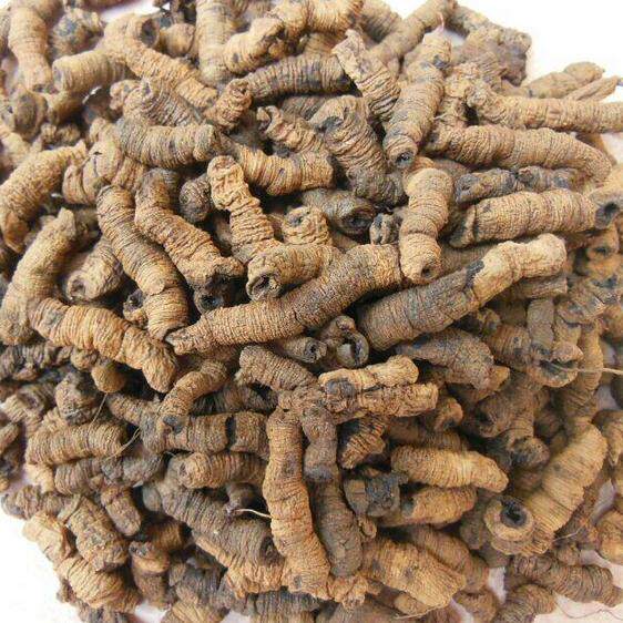 盐制巴戟天 中药材 巴戟 抽芯 制巴戟肉 制巴戟 500克40元包邮