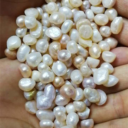 珍珠个 珍珠母 500克130元包邮 中药材供应 天然珍珠粒_7折现价130元