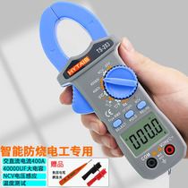 High precision burn-proof AC and DC clamp meter Multi-function small digital clamp meter Portable multimeter ts203