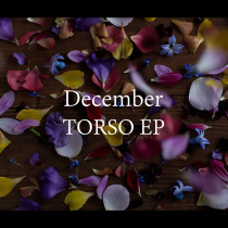 DECEMBER-Torso shake