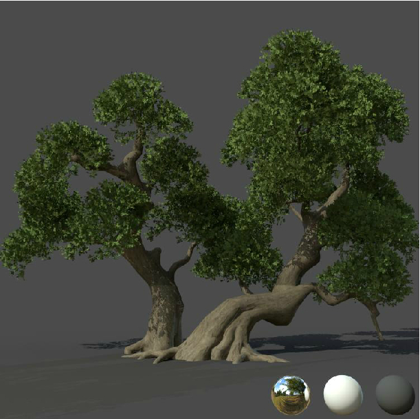maya 模型 素材 植物 超写实树木 大树模型2 布线很好 带贴图