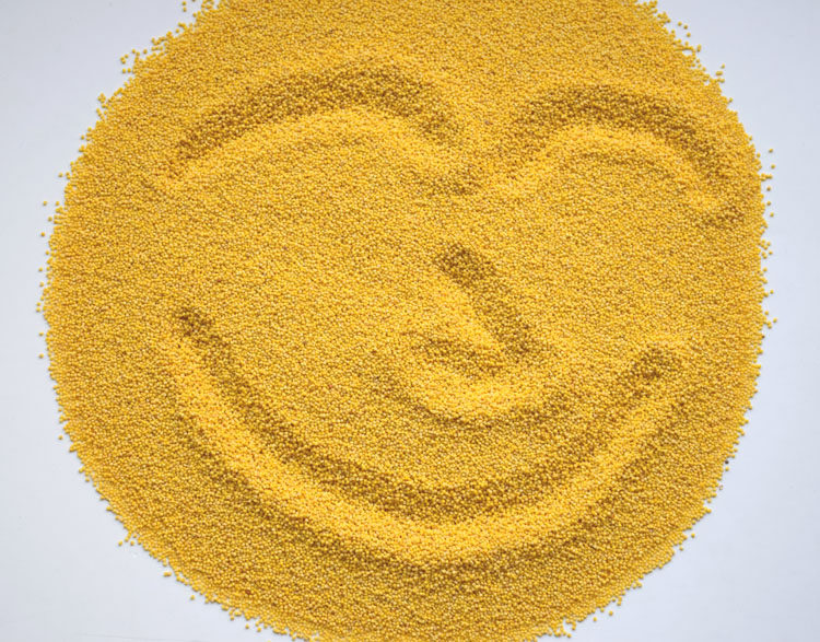 【包邮】包邮河北特产南和金米金小米礼盒有机