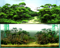 Thailand Sink Wood Treewood Moss Tree Grass Cylinder Water Grass Rigging Tree Root Pendulum Aquarium Decoration