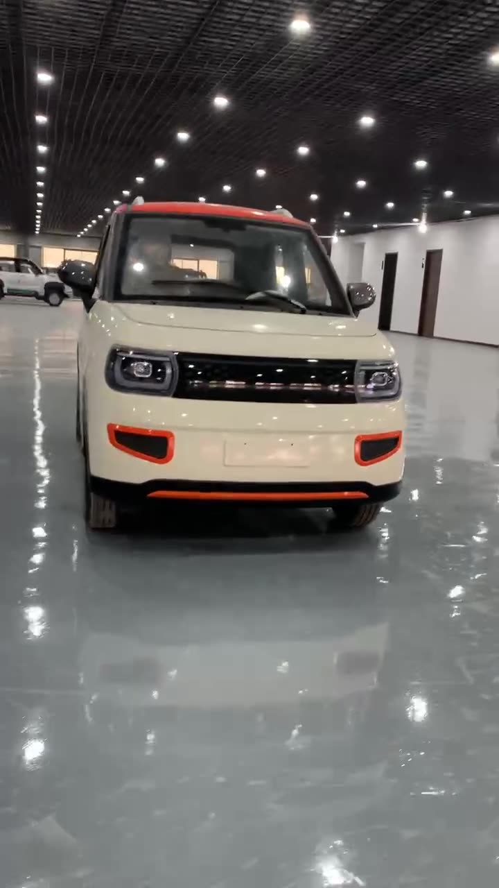 新能源电动汽车油电两用四轮电骄家用四轮电动车代步车老头乐