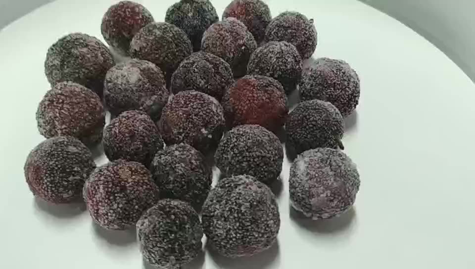 bayberry fruit extract fresh bayberry fruit /waxberry extract - 