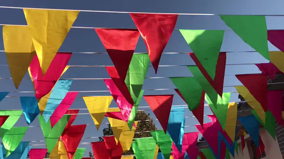 批发定制三角旗小串旗开业庆典结婚工地警示会场氛围布置彩旗吊旗