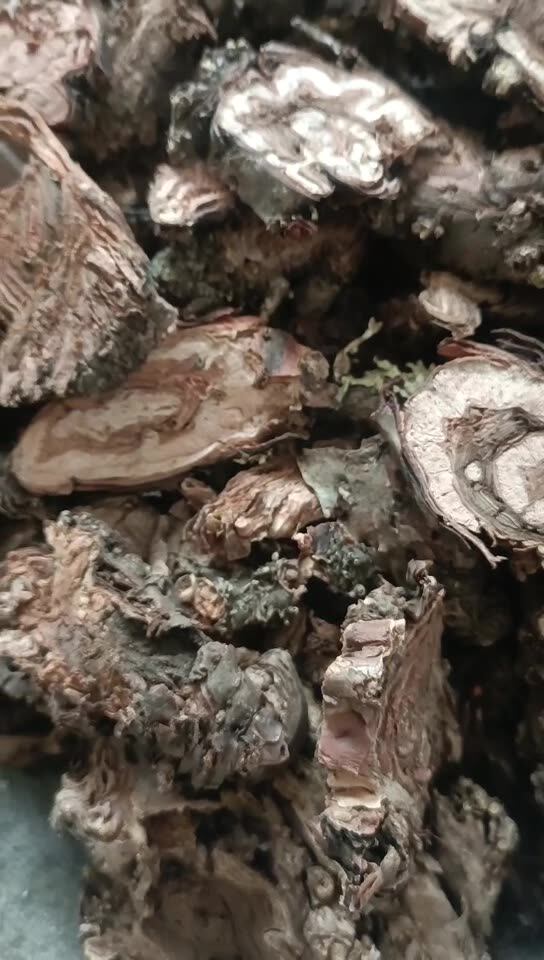 红景天500g 中药材批发 实物拍摄 小花红景天