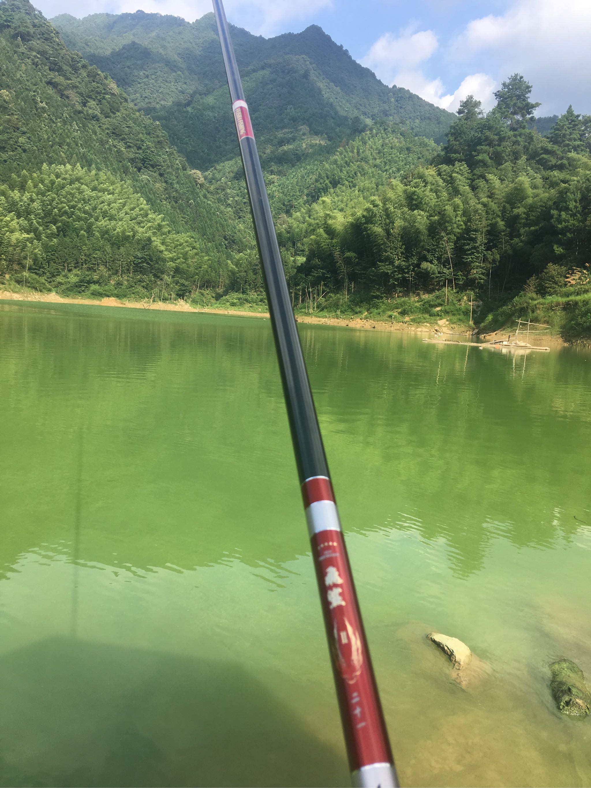 带飞鲨鱼竿去水库钓鱼,标准28调,十斤左右草鱼飞起_钓具网