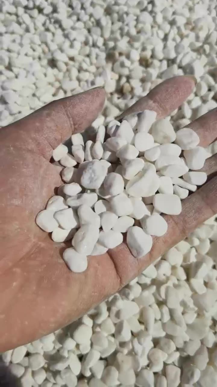 批发造景白米石多肉盆栽白色卵石雨花石家装庭院景观石子水磨石