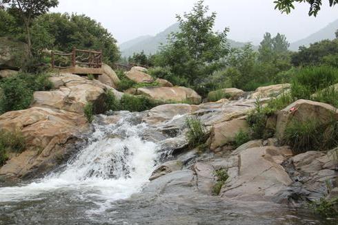 椿树沟景区 门票图片