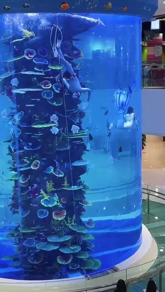 大型亚克力圆柱形鱼缸酒店高透明亚克力观赏缸商场生态淡海水族箱-阿