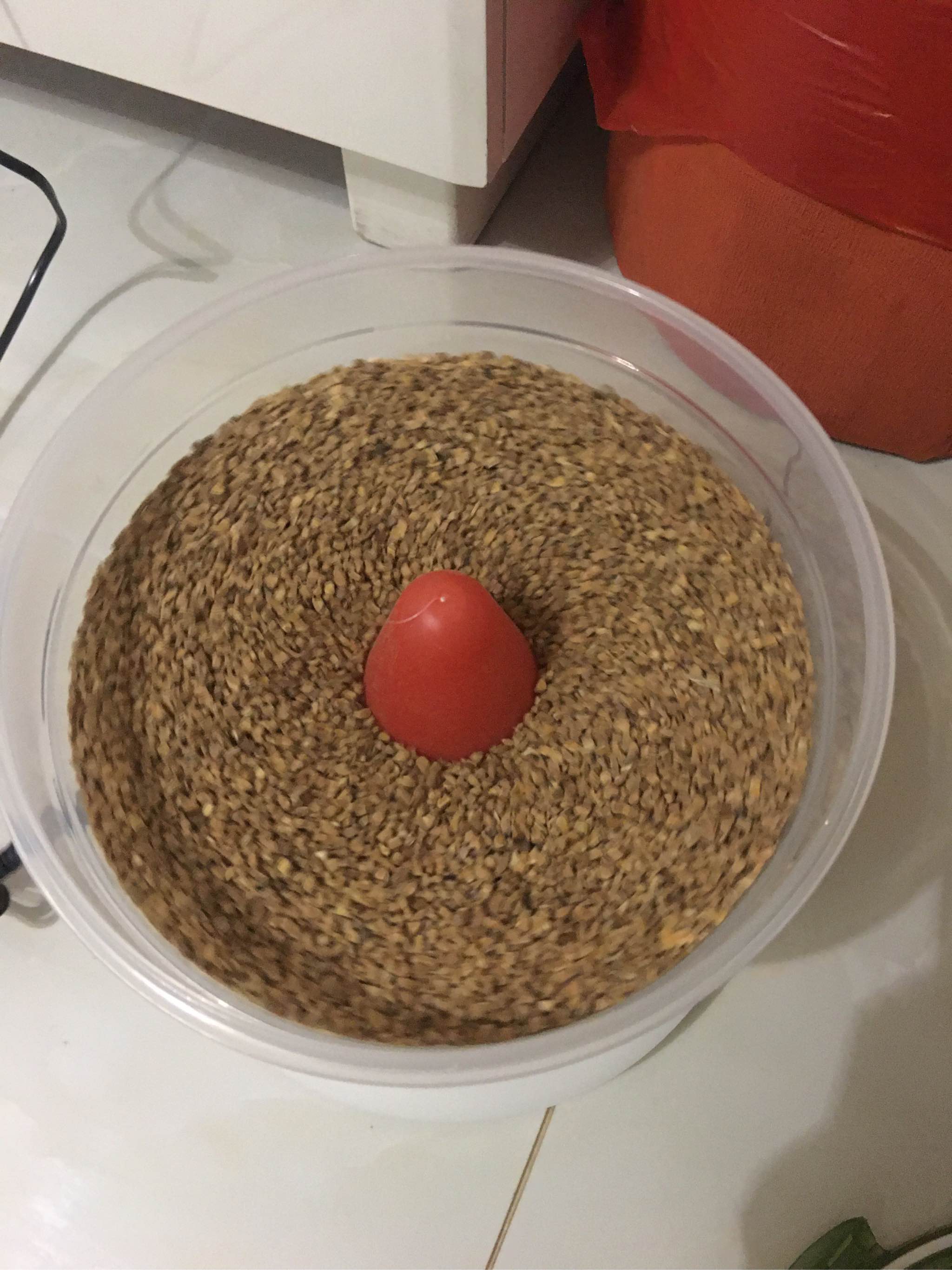文玩抛光机怎么样,好用吗?使用感受分享,第3张 文玩抛光机怎么样,好用吗?使用感受分享,第3张