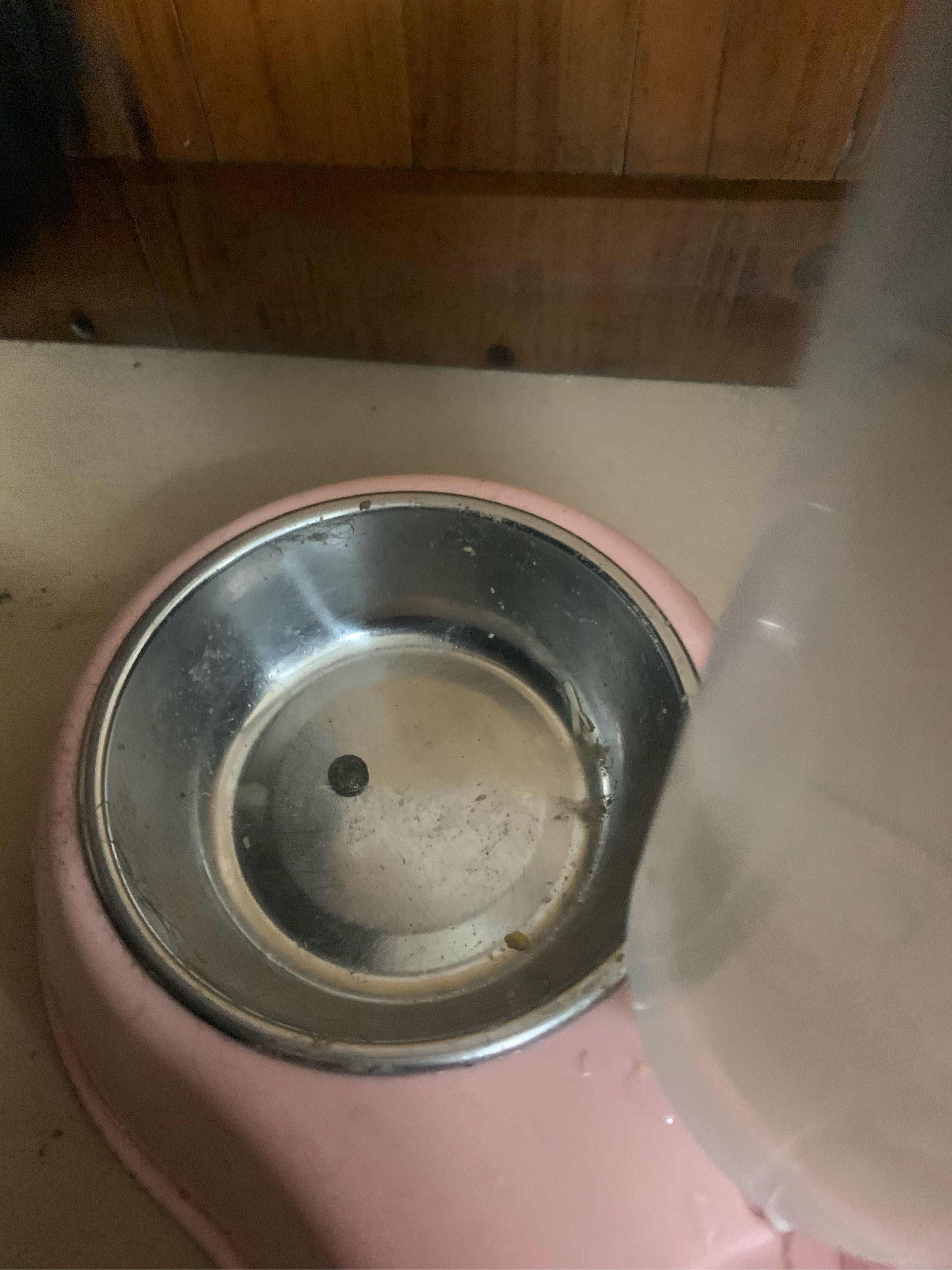 富粒滋冻干狗粮好不好用,价格是多少钱呢,第7张 富粒滋冻干狗粮好不好用,价格是多少钱呢,第7张