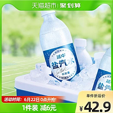 【延中】碳酸饮料盐汽水600ml*20瓶[3元优惠券]-寻折猪