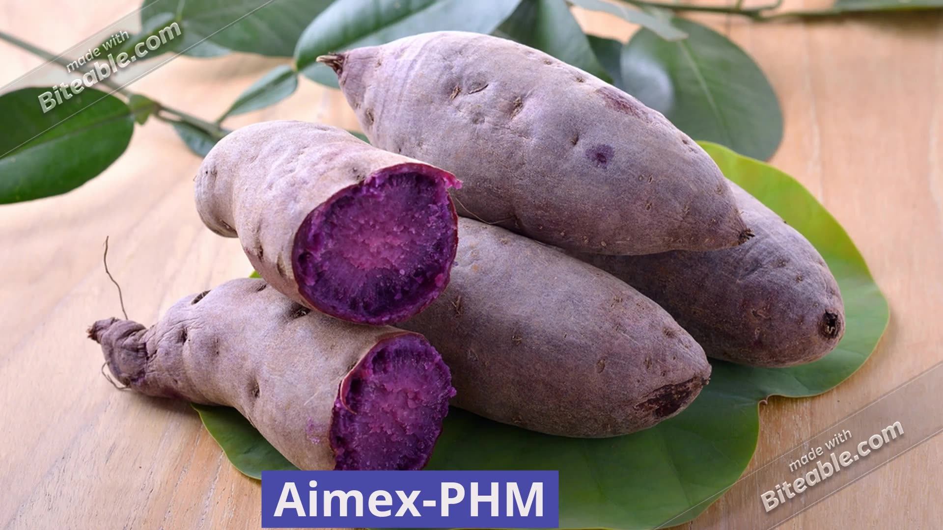 white/yellow/honey sweet potatoes with very attractive price