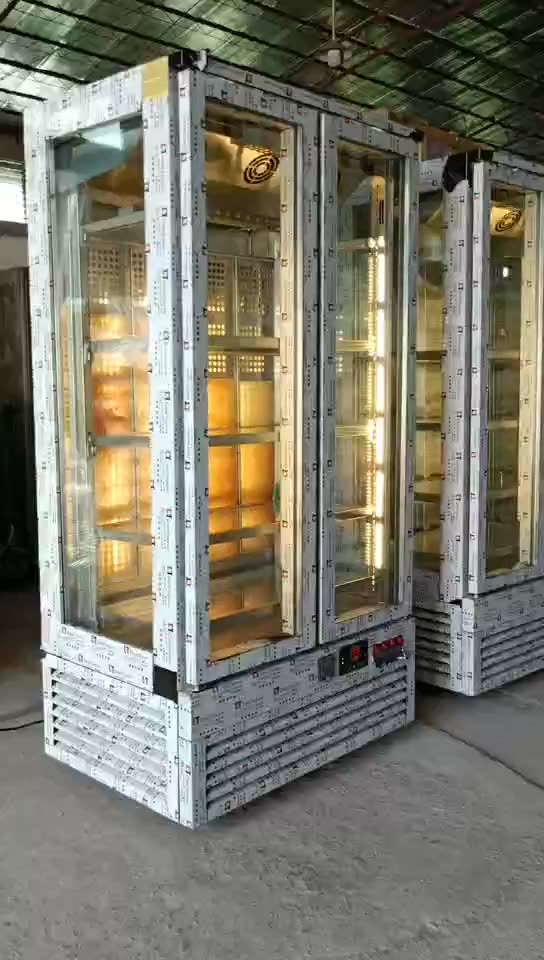 冰友干式熟成柜干式熟成牛排柜排酸柜双门风冷牛羊肉