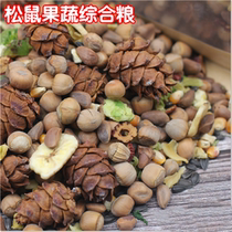 Raw squirrel food Fruit and vegetable comprehensive squirrel food Comprehensive nutrition High protein devil snow yellow mountain squirrel food