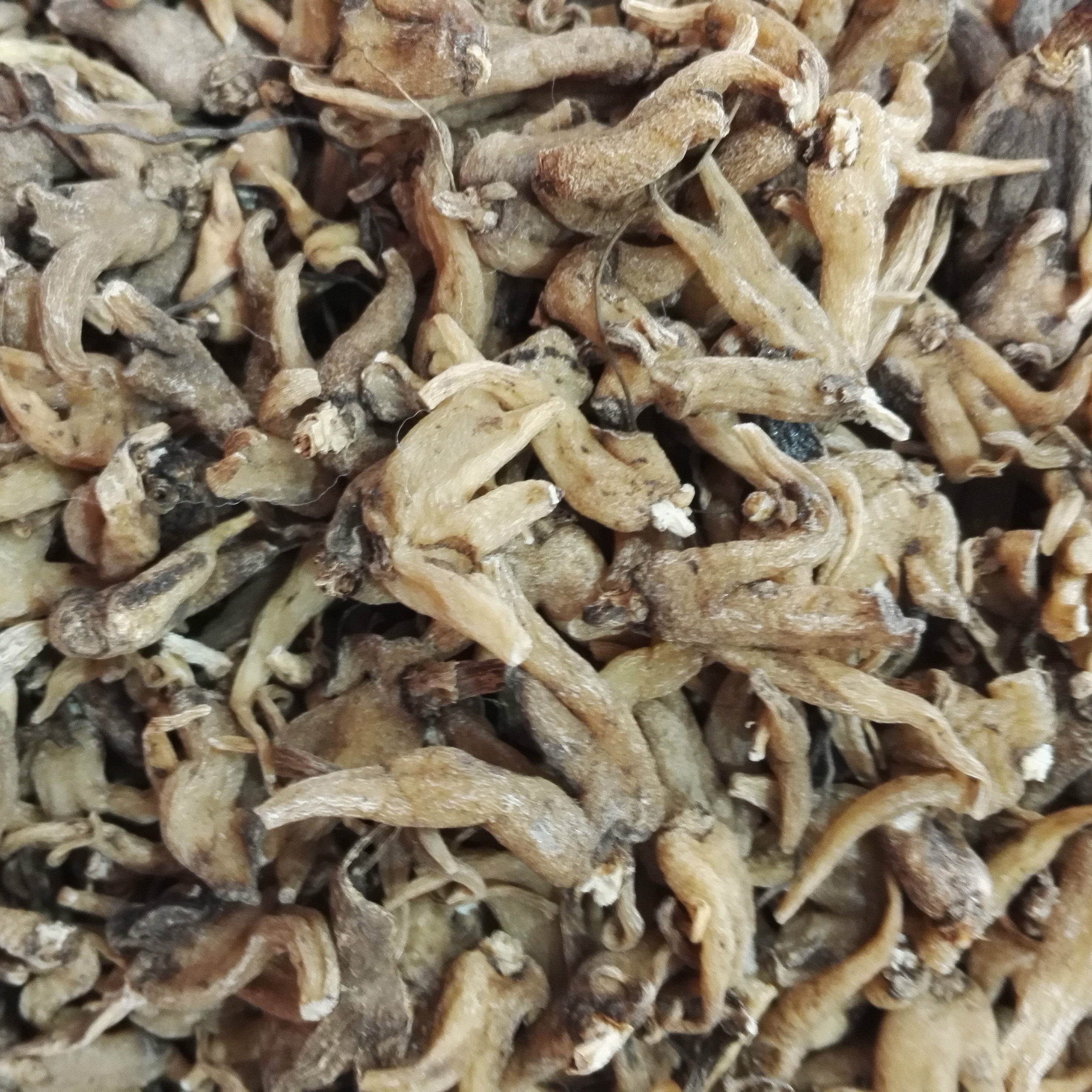 西藏手掌参 藏药旺拉 野生佛手参手参掌参手儿参 阴阳草200g包邮