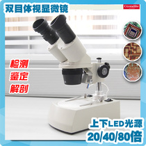 Jingrui-upper and lower LED light source stereo microscope repair watch jewelry identification blackened tea