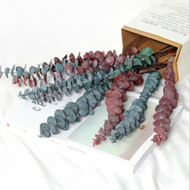 Yunnan Yongsheng Flower Yugali Round Leaf Dry Flower Bouquet Flower Flower Flower Flower Air Dry hipster Home Decoration