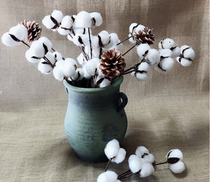 Cotton dried flower home decoration flower branches dried flower bouquet eternal flower interior decoration shooting long cotton