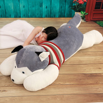 Husky dog Plush toy Dog Ragdoll Cute doll doll girl sleeping pillow Send girlfriend girl