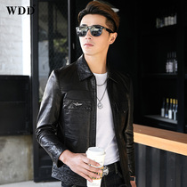 Haining leather leather jacket mens short lapel Korean version of slim handsome trend sheep leather motorcycle jacket single leather jacket