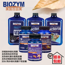 BIOZYM 100 Insamurized bacterial water aquarium fish tank water purification nitrobacteria dry powder capsules dragon fish nitrobacteria