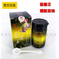 Blue Color Golden Fungus Kingfish has a bacterial virus that causes smollous fins to bleed immediately.