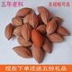 올리브 코어 종자 포장 원료 원시 코어 레드 오일 코어 Arhat 소재 Maitreya 재료 팔찌 라운드 올리브 코어 단일 씨앗 올리브 코어 종자 포장 원료 원시 코어 레드 오일 코어 Arhat 소재 Maitreya 재료 팔찌 라운드 올리브 코어 단일 씨앗