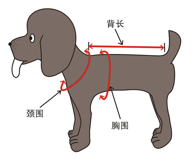 巴哥犬秋冬装法斗衣服 比熊泰迪八哥斗牛柯基犬吉娃娃小鹿犬衣服_7折