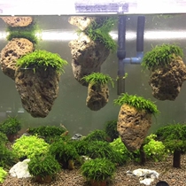 Moss pumice natural suspended stone fish tank landscape pumice stone fish tank landscape underwater suspended Stone suspended Stone
