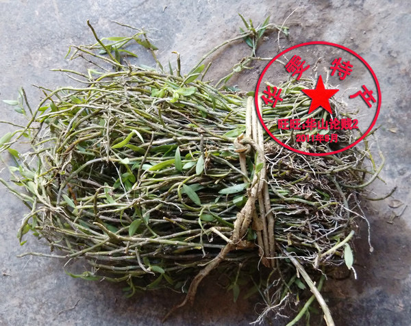 广西华渝药材购销网厂