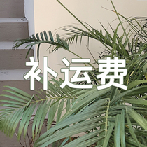 Jinzhu swimwear special supplementary freight difference wholesale order abnormal