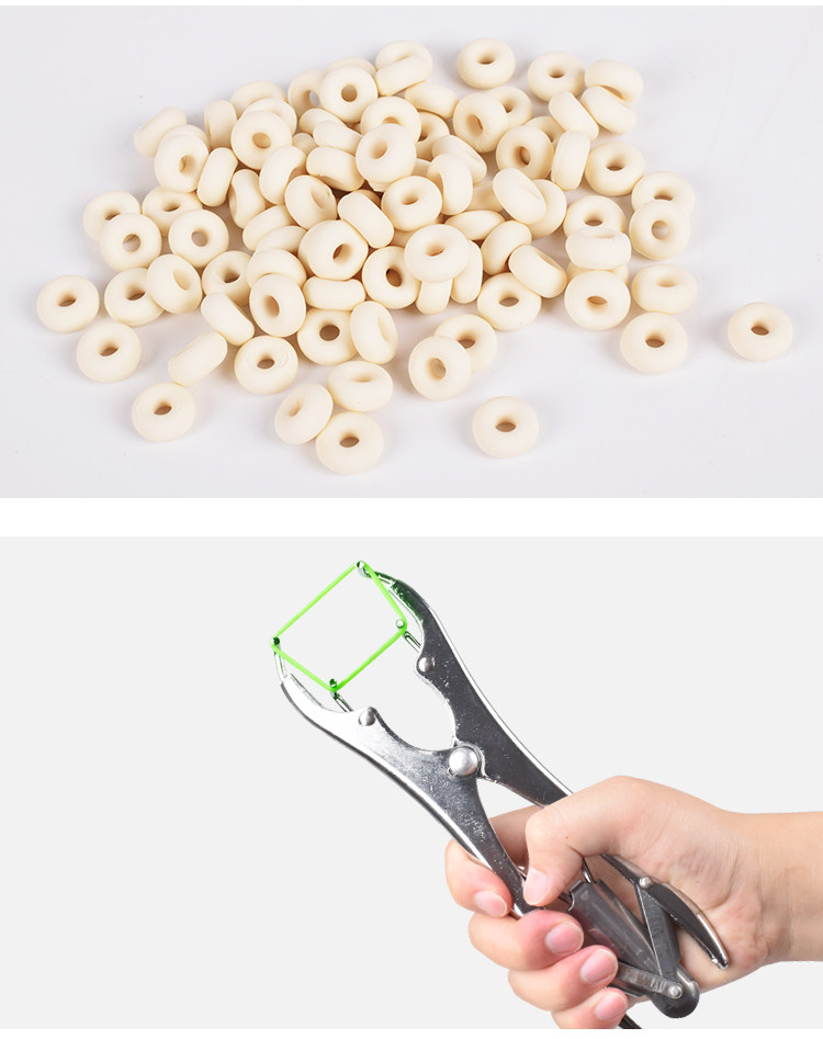 羊用断尾钳便捷仔猪去势钳阉割猪羊扩张钳羔羊幼猪家用弹力兽用