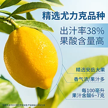 忆江南冻干蜂蜜柠檬片120g[10元优惠券]-寻折猪