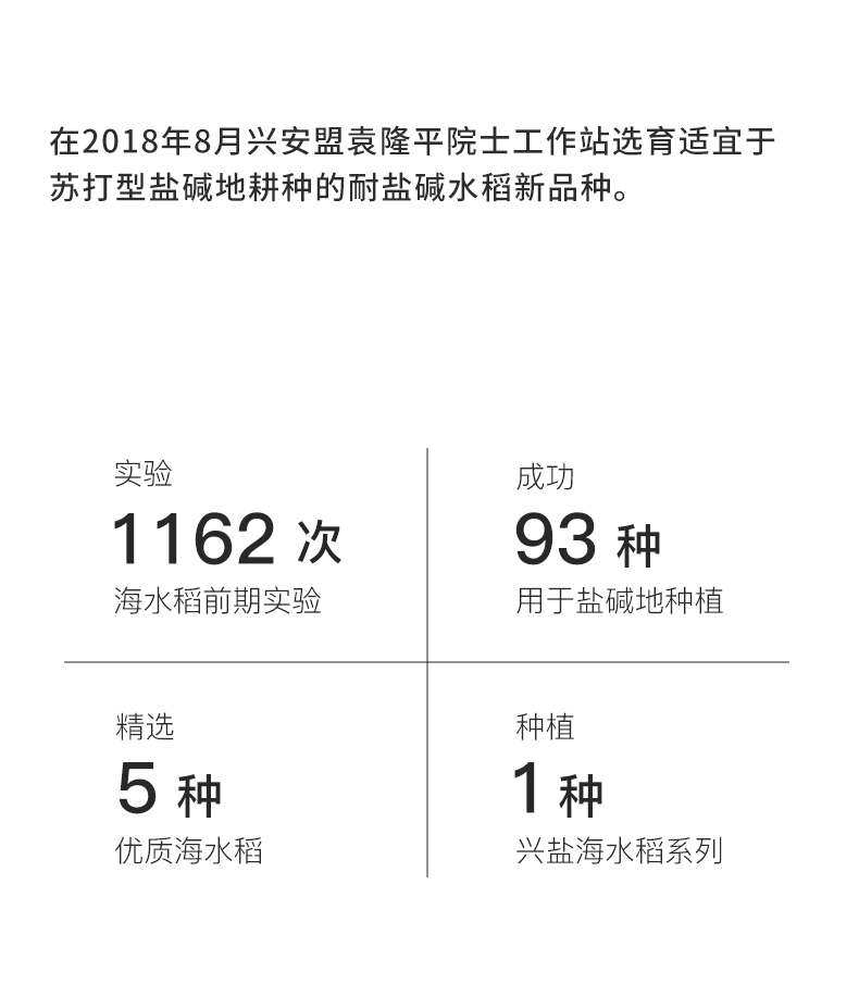 新米谷绿农品袁蒙海水稻盐碱地大米20斤