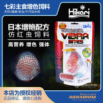 Japanese high enough to imitate red insect colorful fish fairy fish feed rat fish cichlid short bream swallow fish color tropical fish food