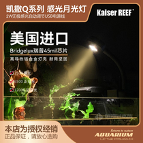 Caesar fish tank lamp led light water family small night light small energy saving lamp water straw lamp native cylinder lamp intelligent light sensitive lamp