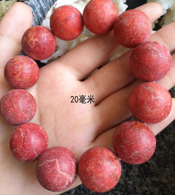红色草珊瑚手链单圈8-22毫米大小圆珠手串男女款本命年佛珠礼品