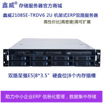 XWStor 2108SE-TRDV6 Xinwei 2U Rack-mounted dual-channel ERP database virtualization server