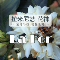 Guatemala La Minita Manor flower God washed coffee beans low acid can freshly ground black coffee 227g