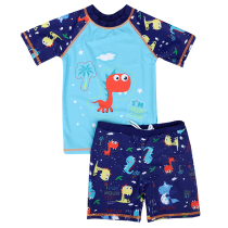 Yirang childrens swimsuit boy swimming trunks set 3-5-7 years old boy split short sleeve children Dinosaur Baby surf