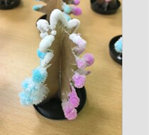 Childrens Science Experiment Magical Colorful Christmas Tree Crystal Christmas Tree #6924